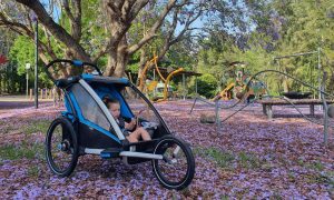 Thule Chariot Sport Stroller Beside a Park