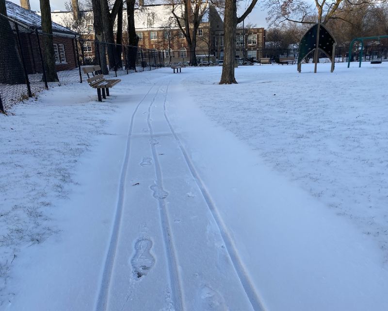 Stroller skis when snow running