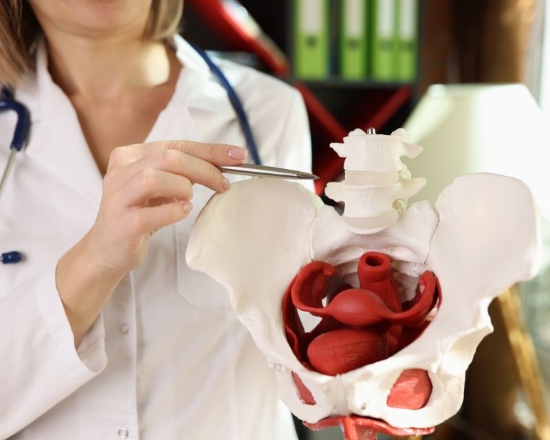 Postnatal physiotherapist explaining pelvic pain while walking